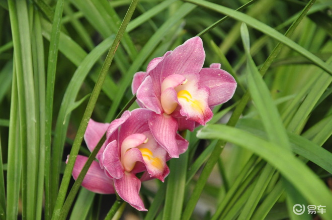 【广东翁源自驾游 图片】-易车网bitauto.com