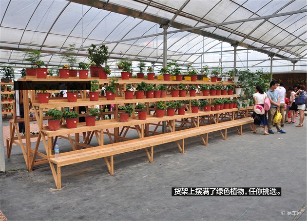 【图文】寻找最创酷的温州之苍南自驾一日游