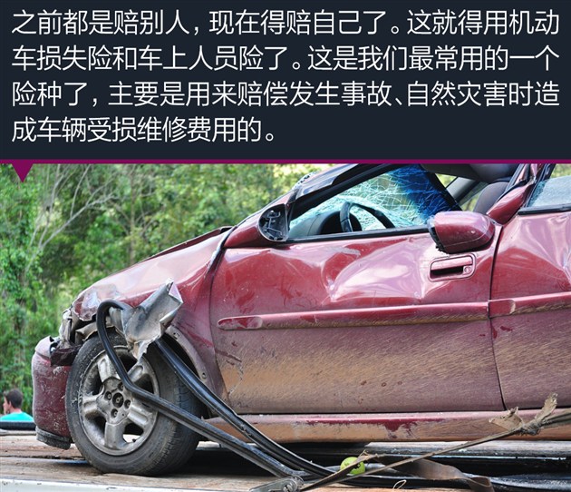 冷门车险细则 车损\/乘员\/全车盗抢险|盗抢险|第