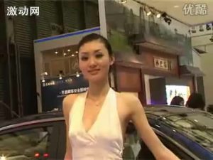 2009上海车展 哈飞车模图片
