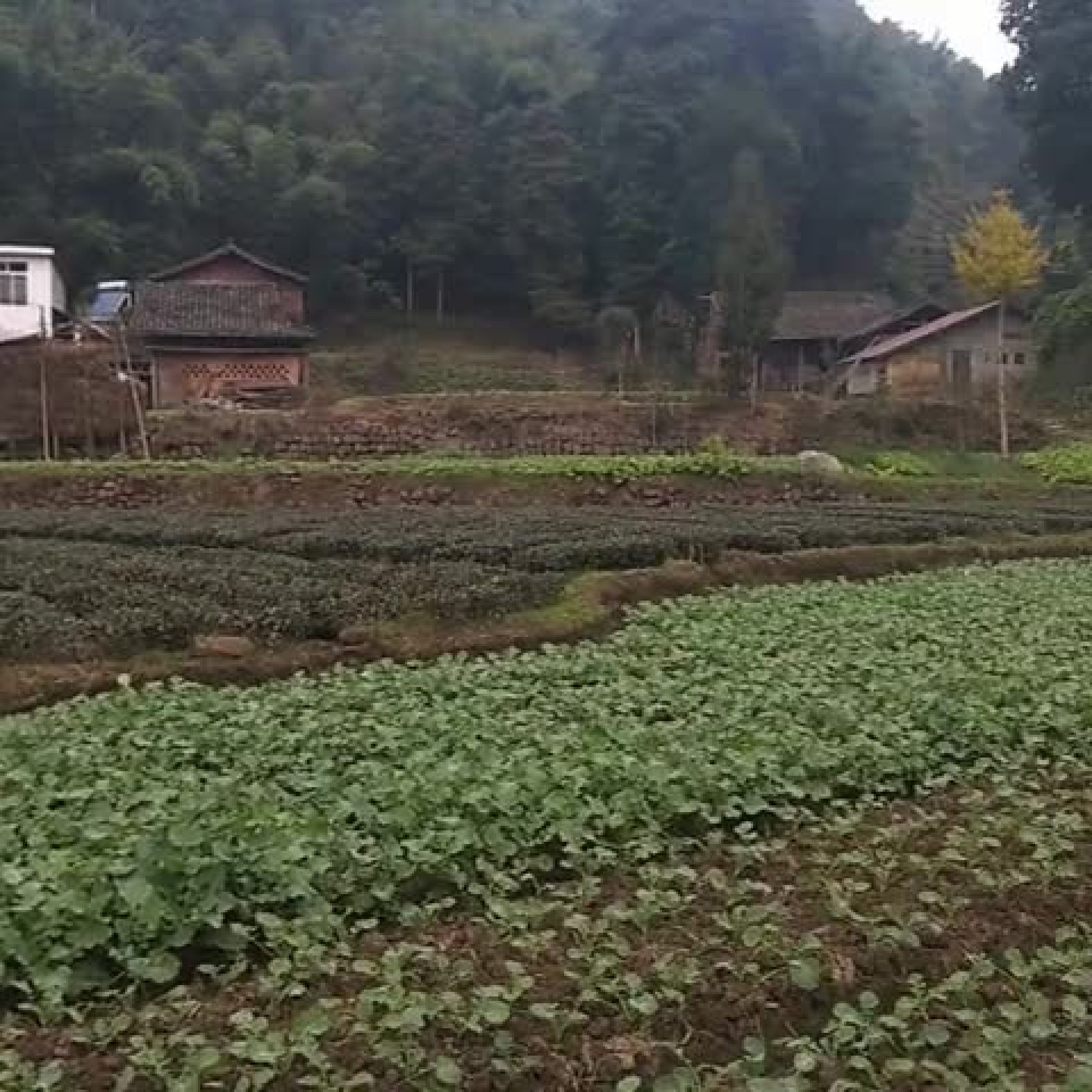 还是农村空气好!_易车视频