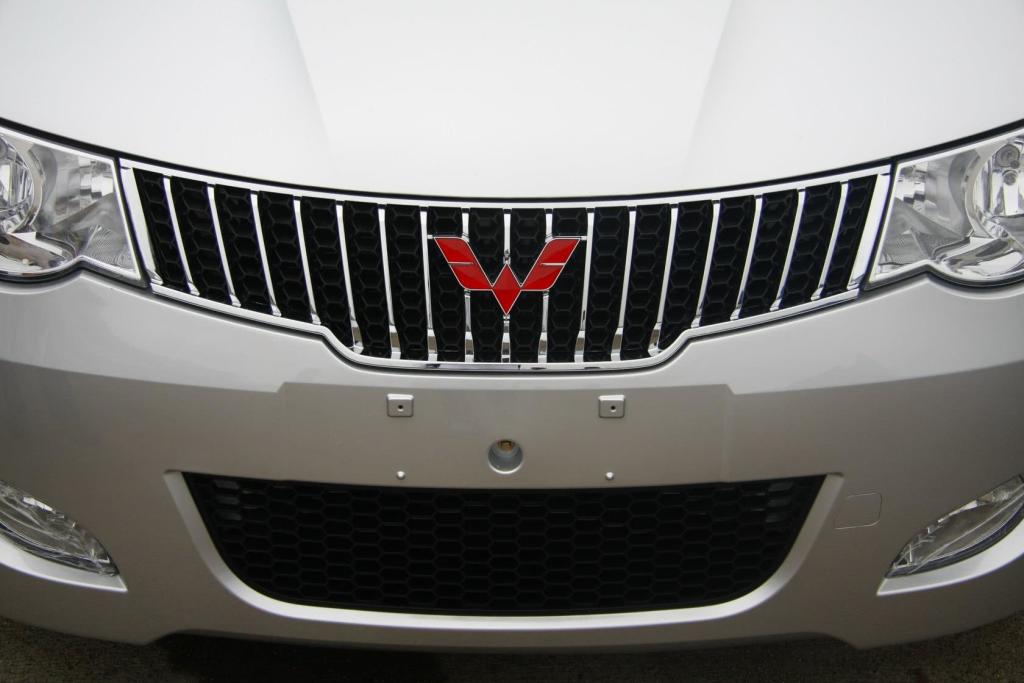 【五菱宏光-外观图片中网(中央隔栅)】-网通社internet info agency