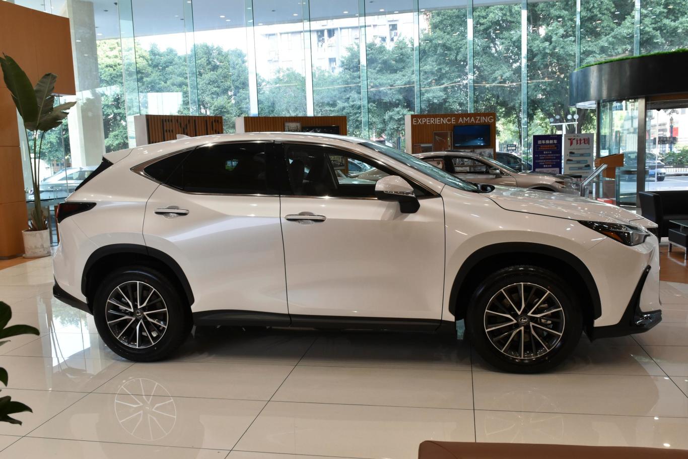 雷克萨斯nx350h 两驱 创悦版正侧车头向右水平