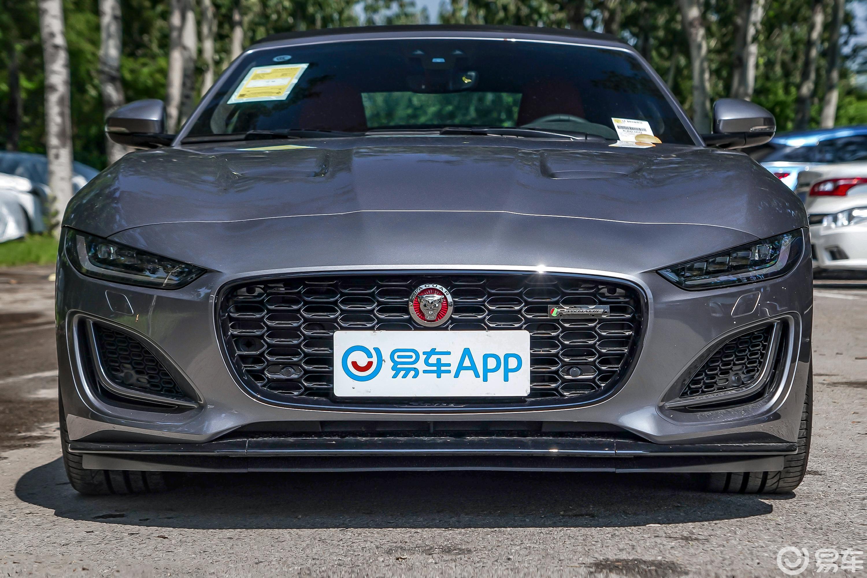 【2023款 P300 敞篷版 R-DYNAMIC BLACK汽车图片-汽车图片大全】-易车