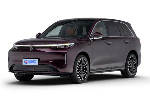 魏牌V8X