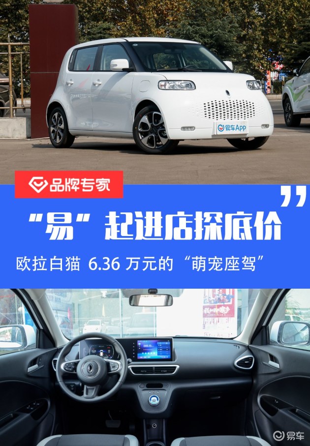 易起进店探底价欧拉白猫636万的萌宠座驾