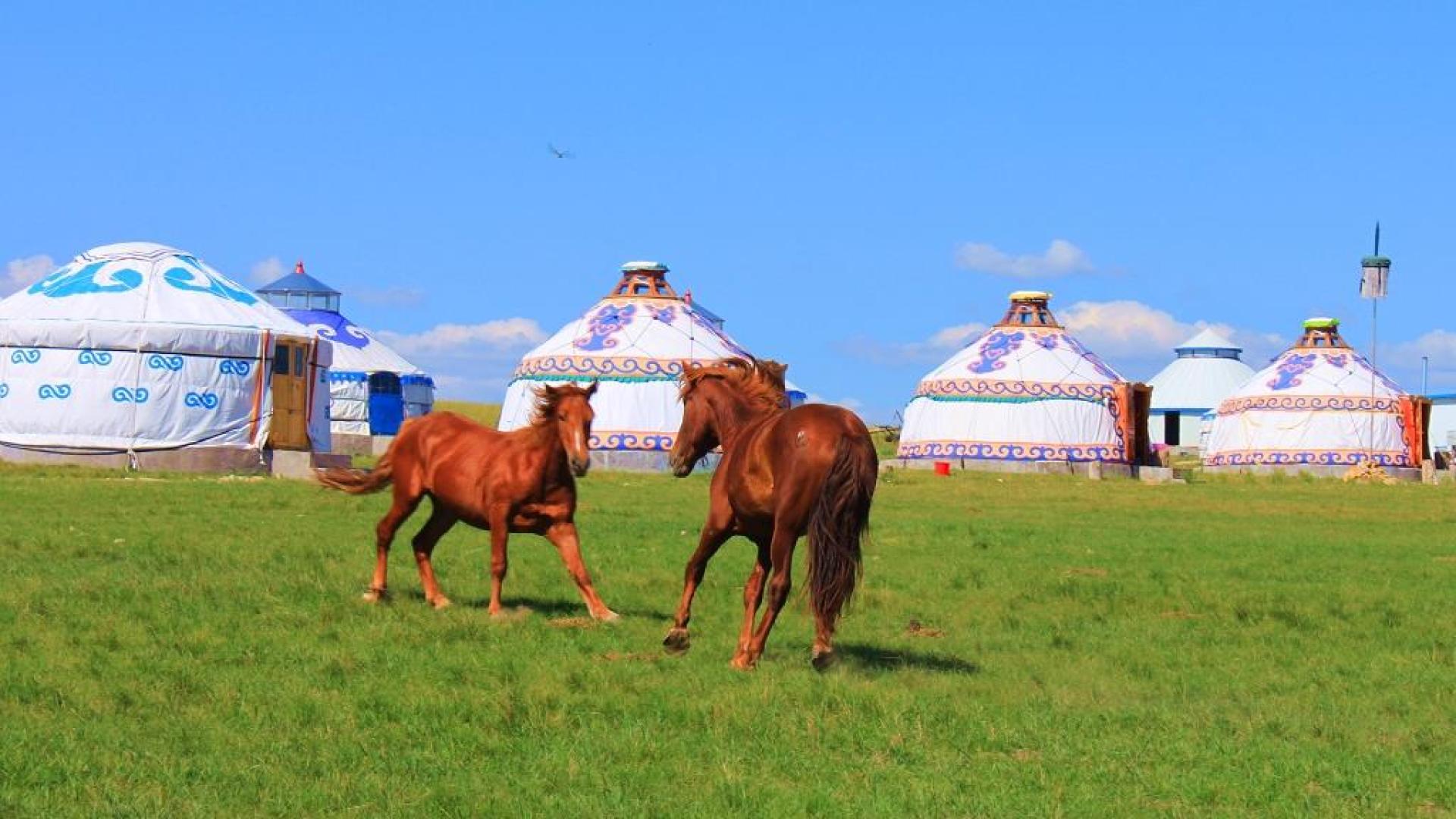 品味内蒙牛羊的自驾首选地——锡林郭勒大草原